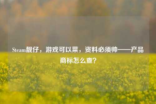 Steam靓仔，游戏可以菜，资料必须帅——产品商标怎么查？