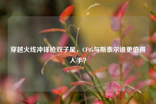 穿越火线冲锋枪双子星，CF05与斯泰尔谁更值得入手？