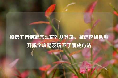 微信王者荣耀怎么玩？从登录、微信区组队到开黑全攻略及玩不了解决方法