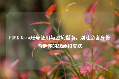 PUBG Guest账号使用与避坑指南，别让游客身份偷走你的战绩和皮肤