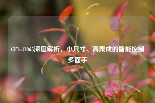 CF1r31065深度解析，小尺寸、高集成的智能控制多面手