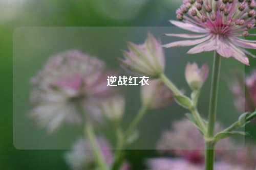 逆战红衣