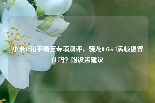 小米12和平精英专项测评，骁龙8 Gen1满帧稳得住吗？附设置建议