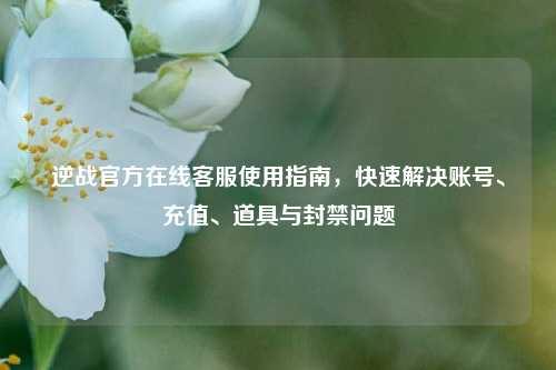 逆战官方在线客服使用指南,快速解决账号、充值、道具与封禁问题