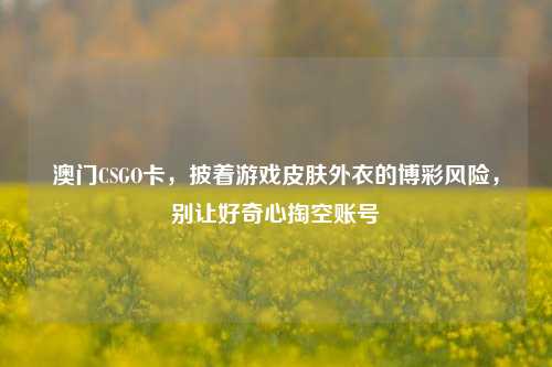 澳门CSGO卡，披着游戏皮肤外衣的博彩风险，别让好奇心掏空账号