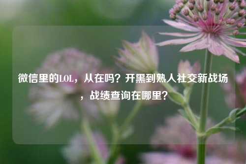 微信里的LOL，从在吗？开黑到熟人社交新战场，战绩查询在哪里？
