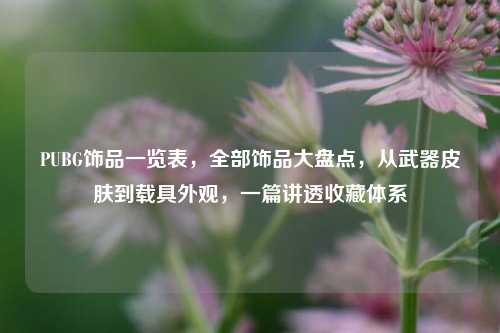 PUBG饰品一览表,全部饰品大盘点,从武器皮肤到载具外观,一篇讲透收藏体系