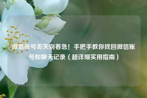 微信账号丢失别着急!手把手教你找回微信账号和聊天记录(超详细实用指南)