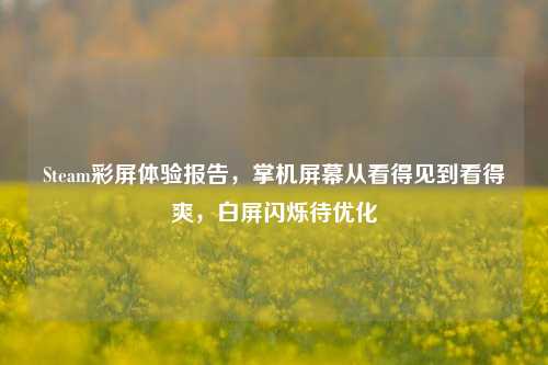 Steam彩屏体验报告,掌机屏幕从看得见到看得爽,白屏闪烁待优化