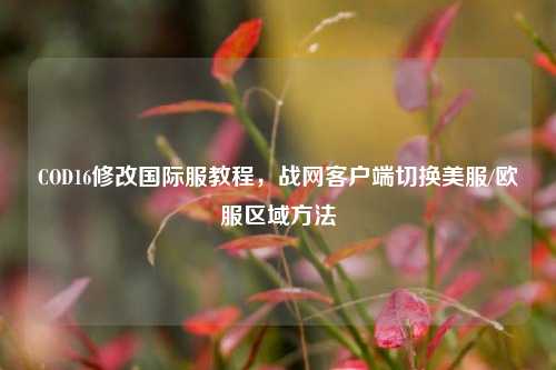 COD16修改国际服教程，战网客户端切换美服/欧服区域方法