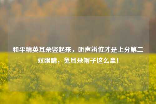 和平精英耳朵竖起来，听声辨位才是上分第二双眼睛，兔耳朵帽子这么拿！