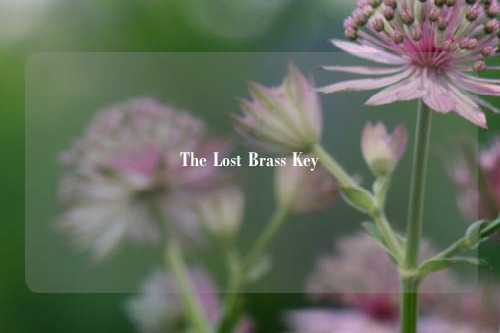 The Lost Brass Key