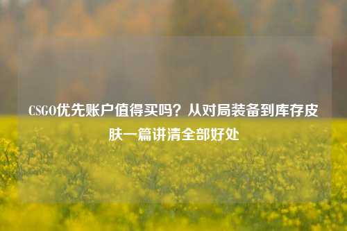 CSGO优先账户值得买吗？从对局装备到库存皮肤一篇讲清全部好处