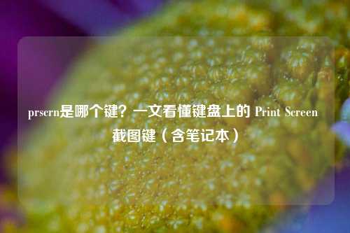 prscrn是哪个键？一文看懂键盘上的 Print Screen 截图键（含笔记本）