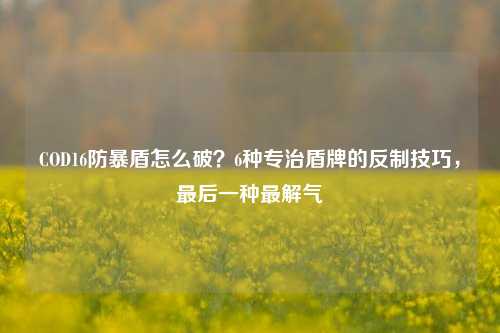 COD16防暴盾怎么破？6种专治盾牌的反制技巧，最后一种最解气