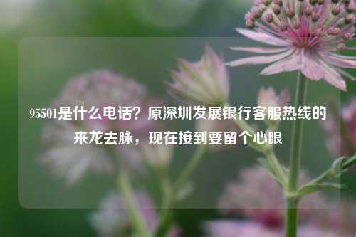 95501是什么电话？原深圳发展银行客服热线的来龙去脉，现在接到要留个心眼