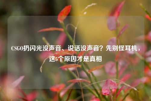 CSGO扔闪光没声音、说话没声音？先别怪耳机，这5个原因才是真相