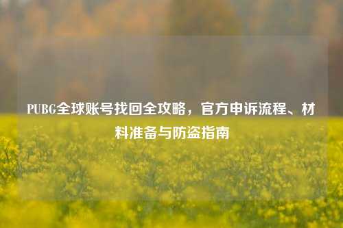 PUBG全球账号找回全攻略，官方申诉流程、材料准备与防盗指南