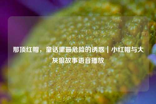 那顶红帽，童话里最危险的诱惑｜小红帽与大灰狼故事语音播放