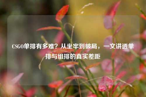 CSGO单排有多难？从坐牢到破局，一文讲透单排与组排的真实差距