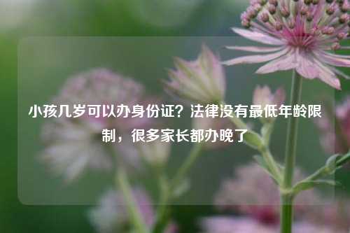 小孩几岁可以办身份证？法律没有最低年龄限制，很多家长都办晚了