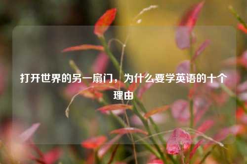 打开世界的另一扇门，为什么要学英语的十个理由
