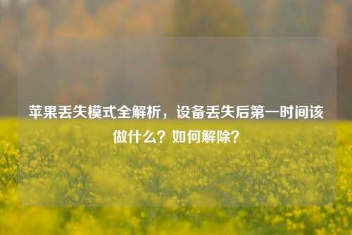 苹果丢失模式全解析，设备丢失后第一时间该做什么？如何解除？