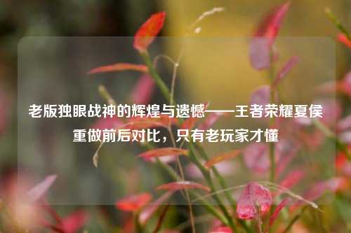 老版独眼战神的辉煌与遗憾——王者荣耀夏侯惇重做前后对比，只有老玩家才懂