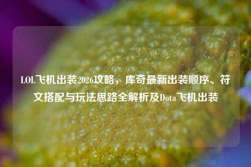 LOL飞机出装2026攻略，库奇最新出装顺序、符文搭配与玩法思路全解析及Dota飞机出装