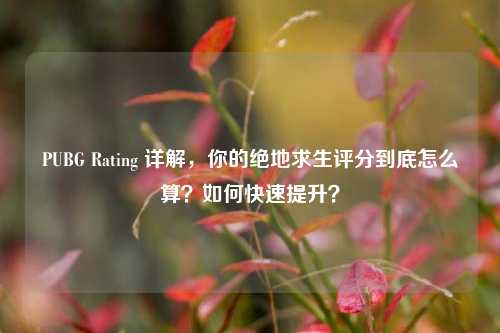 PUBG Rating 详解，你的绝地求生评分到底怎么算？如何快速提升？