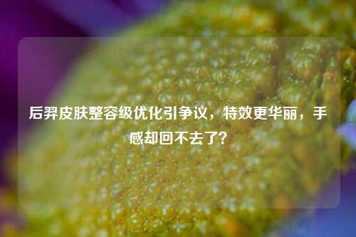 后羿皮肤整容级优化引争议，特效更华丽，手感却回不去了？