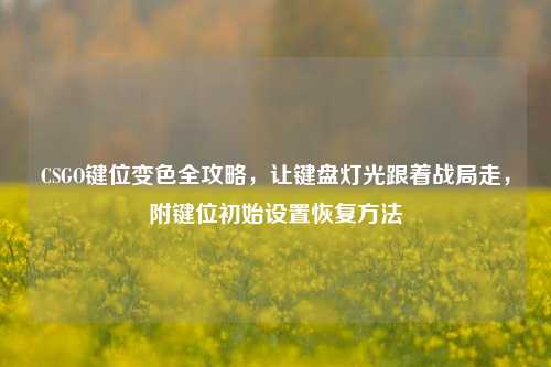 CSGO键位变色全攻略，让键盘灯光跟着战局走，附键位初始设置恢复方法