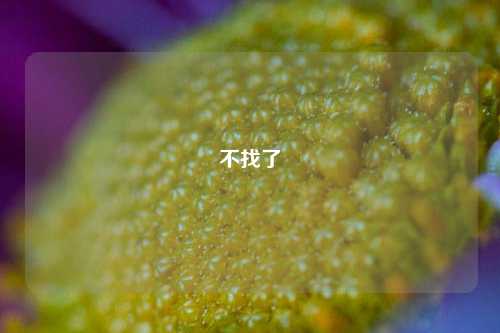 不找了