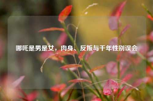 哪吒是男是女，肉身、反叛与千年性别误会