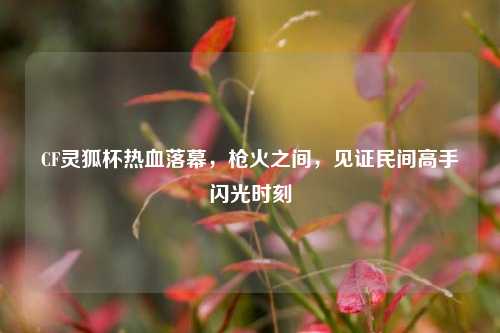 CF灵狐杯热血落幕，枪火之间，见证民间高手闪光时刻