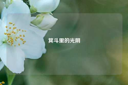 箕斗里的光阴
