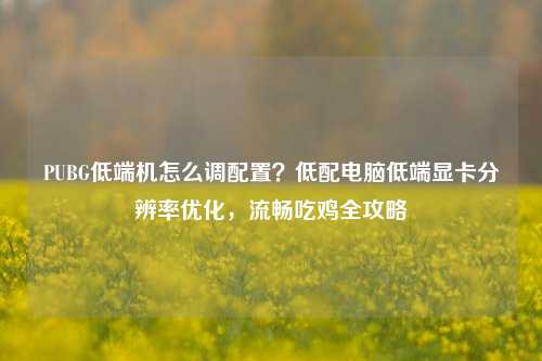 PUBG低端机怎么调配置？低配电脑低端显卡分辨率优化，流畅吃鸡全攻略