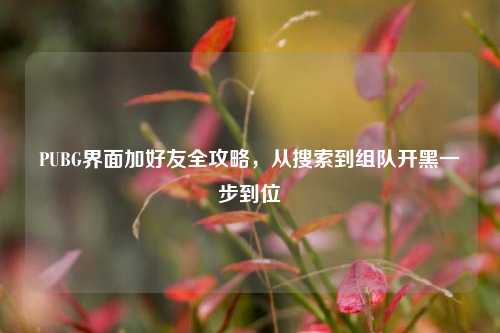 PUBG界面加好友全攻略,从搜索到组队开黑一步到位