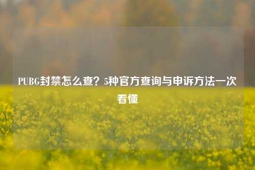 PUBG封禁怎么查？5种官方查询与申诉方法一次看懂