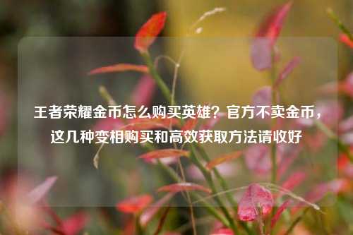王者荣耀金币怎么购买英雄？官方不卖金币，这几种变相购买和高效获取方法请收好