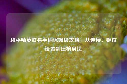 和平精英联名手柄保姆级攻略，从连接、键位设置到压枪身法