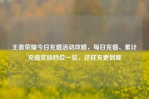 王者荣耀今日充值活动攻略，每日充值、累计充值奖励档位一览，这样充更划算