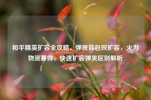 和平精英扩容全攻略，弹匣背包双扩容，火力物资兼得，快速扩容弹夹区别解析
