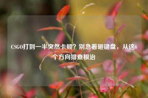 CSGO打到一半突然卡顿？别急着砸键盘，从这6个方向排查根治