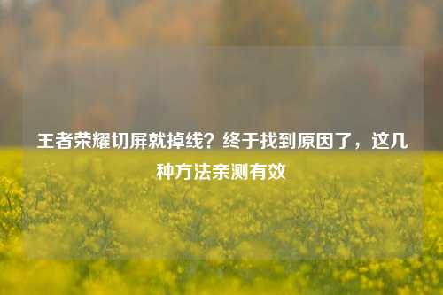 王者荣耀切屏就掉线？终于找到原因了，这几种方法亲测有效