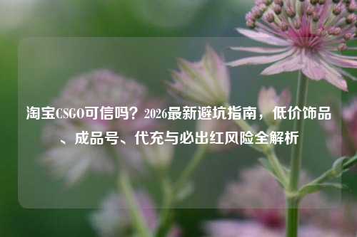 淘宝CSGO可信吗？2026最新避坑指南，低价饰品、成品号、代充与必出红风险全解析