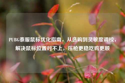 PUBG泰服鼠标优化指南，从选购到灵敏度调校，解决鼠标位置对不上，压枪更稳吃鸡更顺