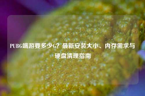 PUBG端游要多少G？最新安装大小、内存需求与硬盘清理指南