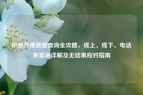 护照办理进度查询全攻略，线上、线下、电话多渠道详解及无结果应对指南