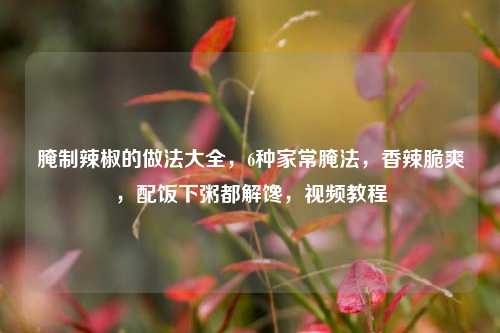 腌制辣椒的做法大全,6种家常腌法,香辣脆爽,配饭下粥都解馋,视频教程